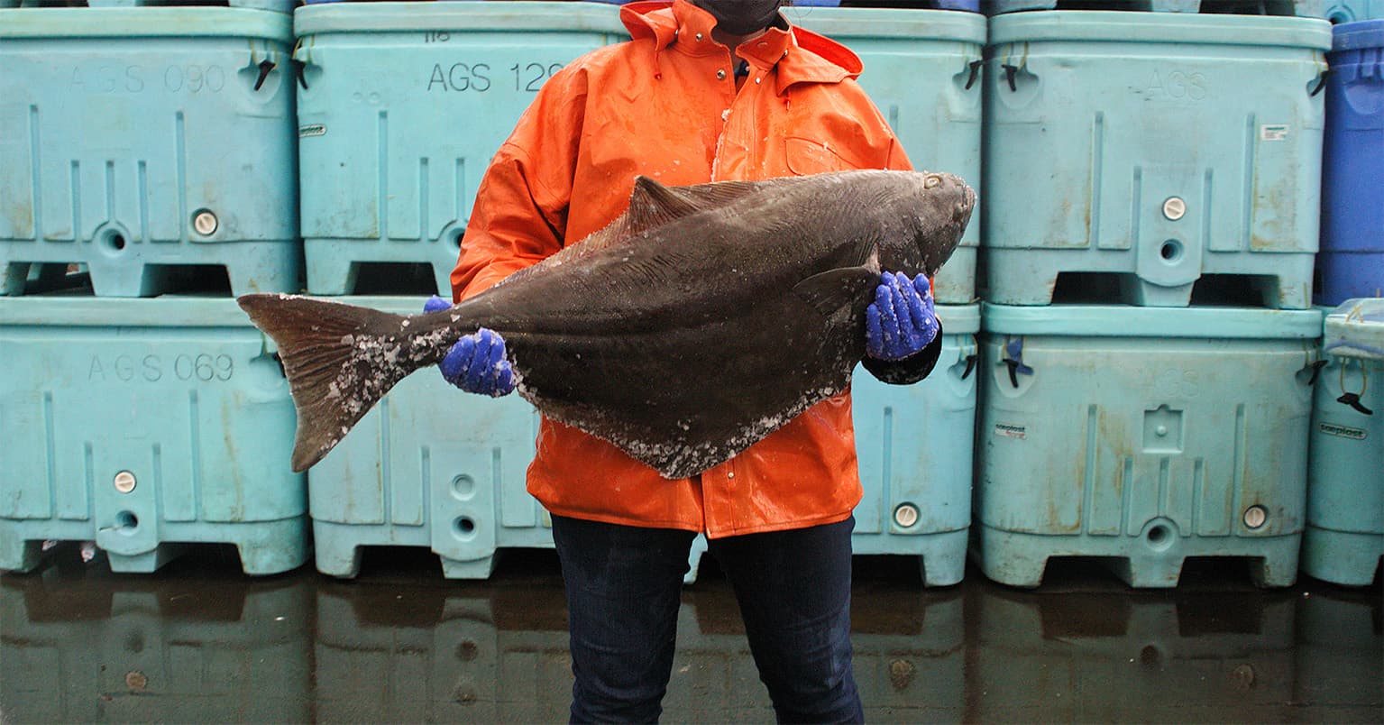 Fresh and fly: Our freighters carry prized Alaska seafood to the world
