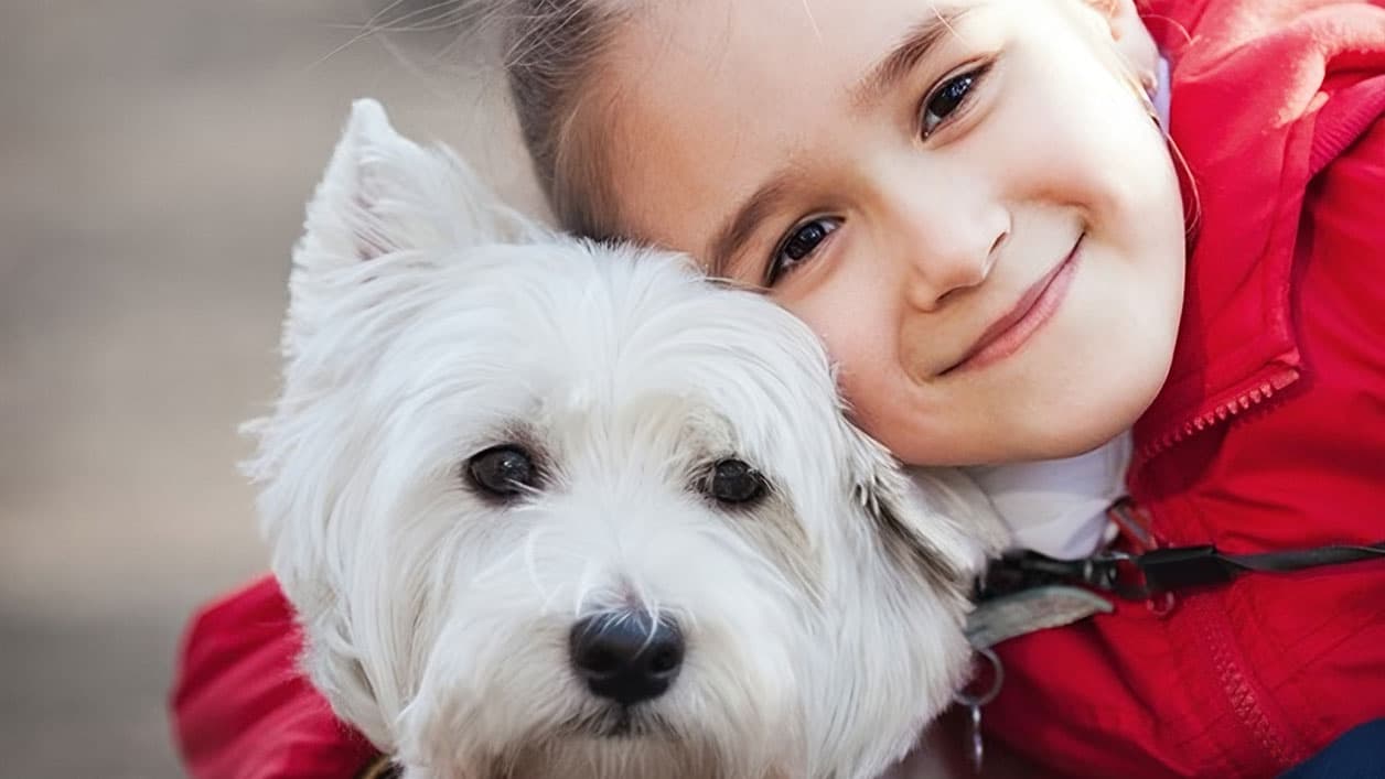 Pet Connect Animal Travel Alaska Air Cargo