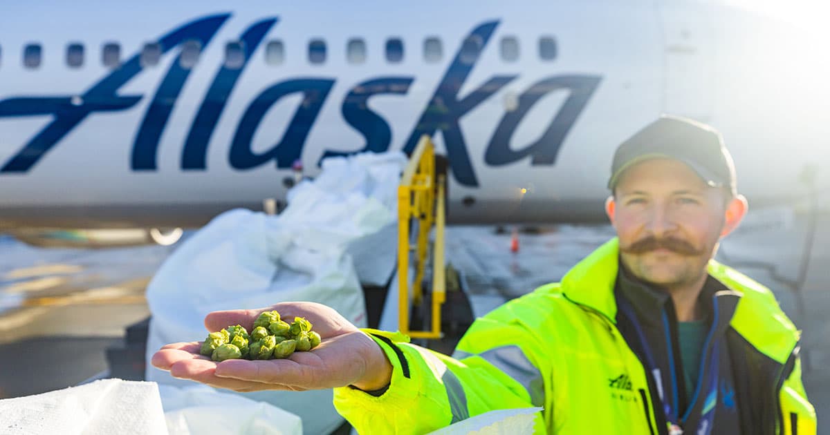 How we made fresh hops fly – and helped a seasonal beer take off beyond the Northwest